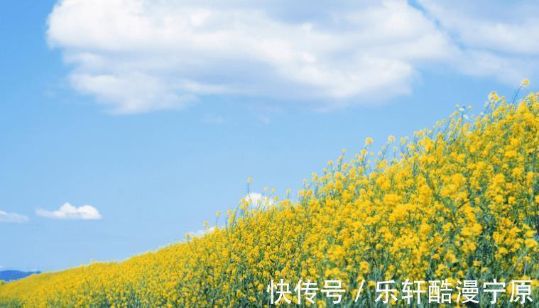 追求完美|后半生,4个星座,年轻时很努力,老了生活富足,令人羡慕