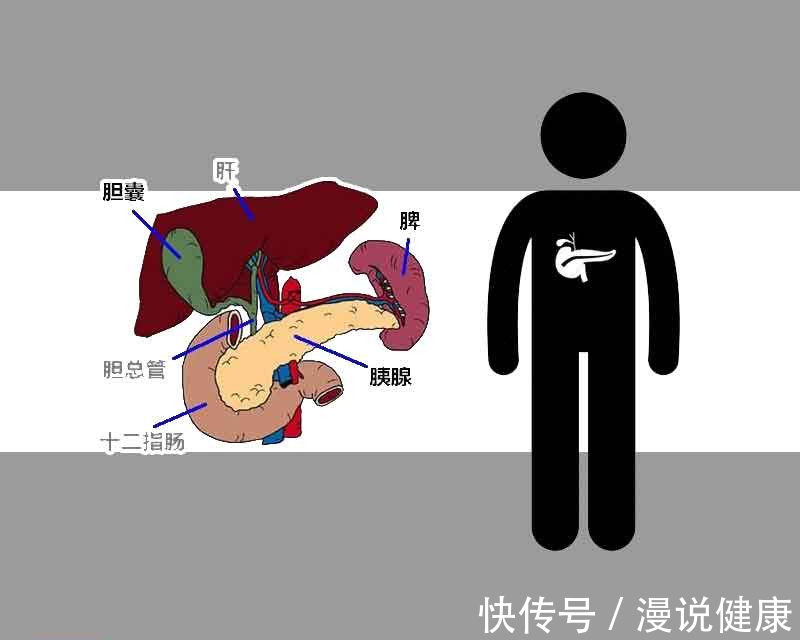 腹痛|世界胰腺癌日：夺走乔布斯的“癌王”，早期5个症状真难以被发现