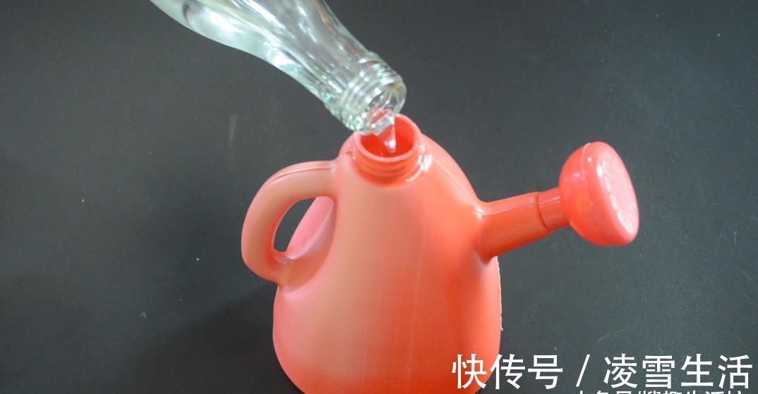 抽完烟卫生间烟味久久不散 教你一个小妙招, 1分钟快速去除烟味