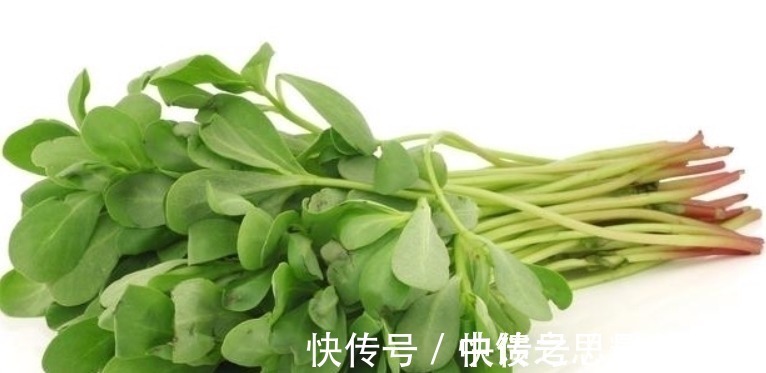 生草药性备要|农村这种野菜,被誉为“长寿菜”,城里人想吃都买不到!
