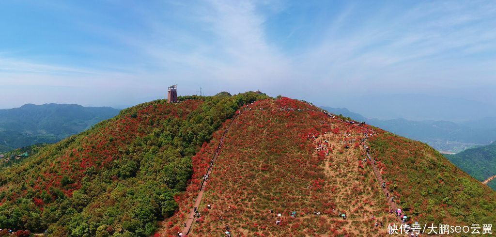 丰惠|跟我游瑞安，体验乡村之旅，感受田园风光，文化旅游主题精品线路