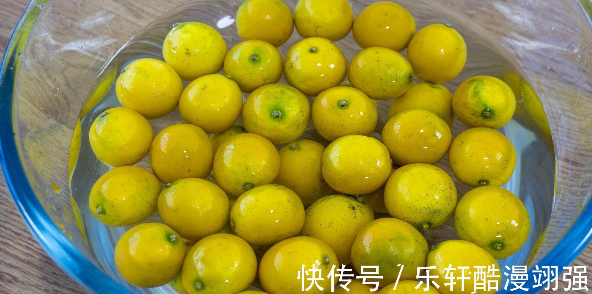 果实|这6种果实晒干后,比新鲜的好吃,嚼劲十足有韧性,当小零食解馋