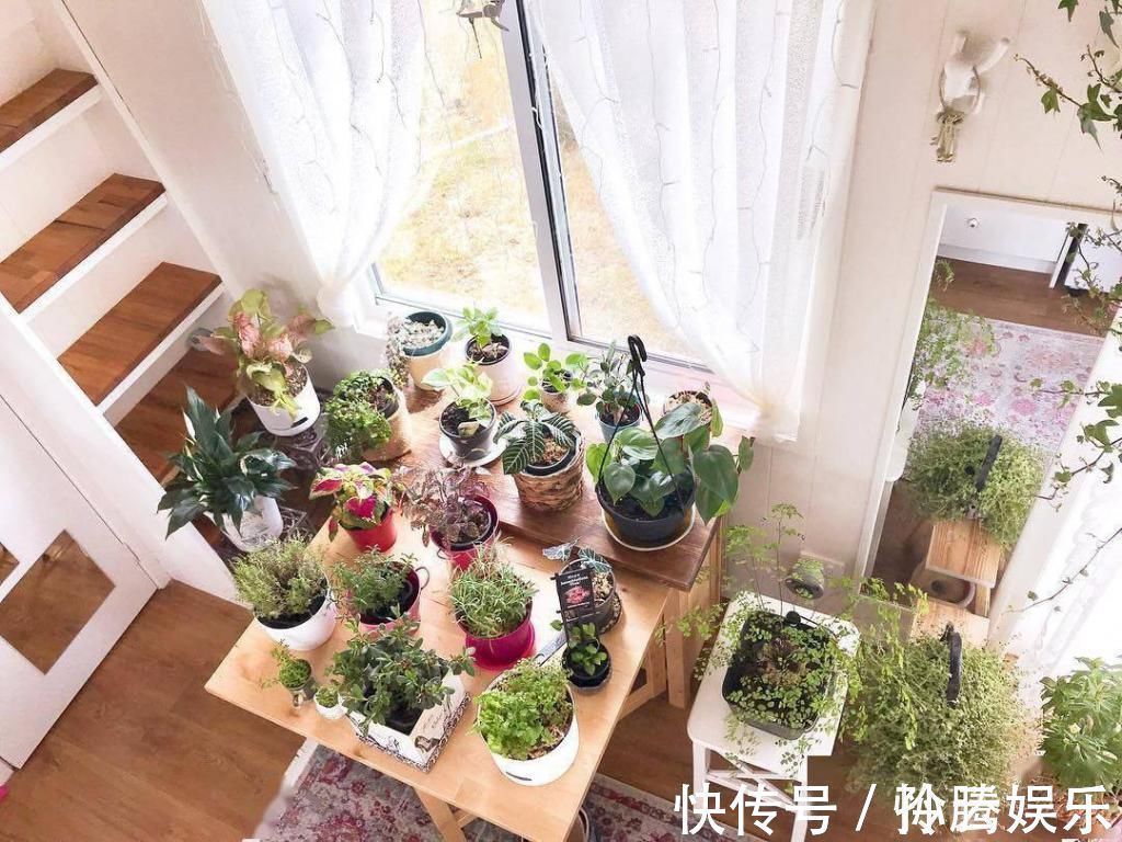 阿姨|55岁不结婚,晒房间引100万人点赞生活好不好,看卧室就知道
