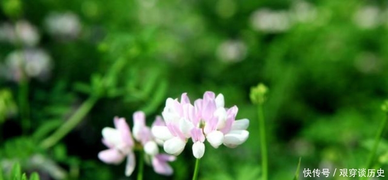  写进|宋代最多情的高僧，写下一首感人的爱情词，最后几句写进了骨子里