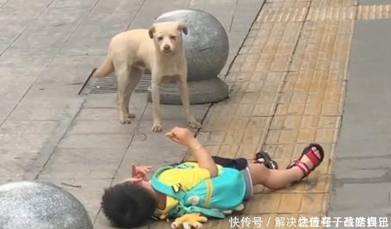 小区|女儿小区撒泼躺地,宝爸淡定看手机,对峙2小时,网友:都是狠人