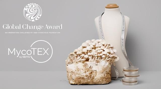 蘑菇成为时尚界的新宠儿？环保潮流正在改变行业的原料使用