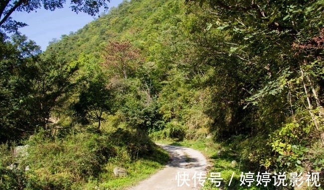 茱萸|寻访秦岭苦竹沟，灌满浆汁的烂红野果和山货挂满枝头，都无人采摘