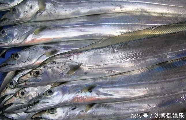 过年吃鱼,专买这3种鱼,全是野生的,肉多刺少营养足,放心吃!