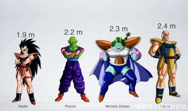 角色|龙珠角色身高大揭秘，贝吉塔很尴尬，孙悟空既是最高又是最矮！