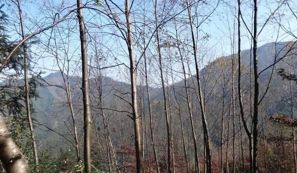 千古|千古绝对!上联本日飞机飞日本 网友的下联经典到爆!