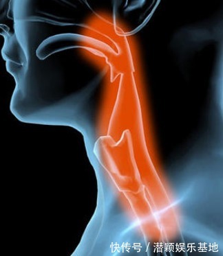 多喝水|多走路、多喝水，以为是在“养生”，实际上是在折寿！