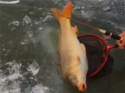 钓鱼的“7大忌”，你晓得吗？都是影响渔获的重要因素，莫忽视