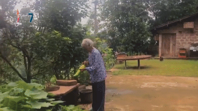 孙女偷偷回家，86岁奶奶开心到跺脚……