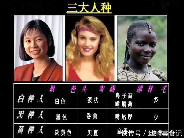 色母粒全解析:从原料配比到选型应用,读懂黑色母粒、白色母粒与彩色母粒