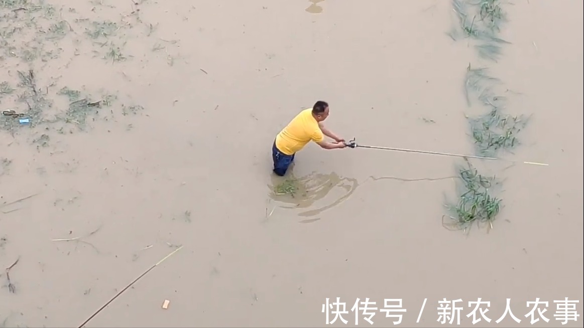 网友们|安徽一河道鱼儿大爆发,有人一天钓起数百斤,网友们见后怒了