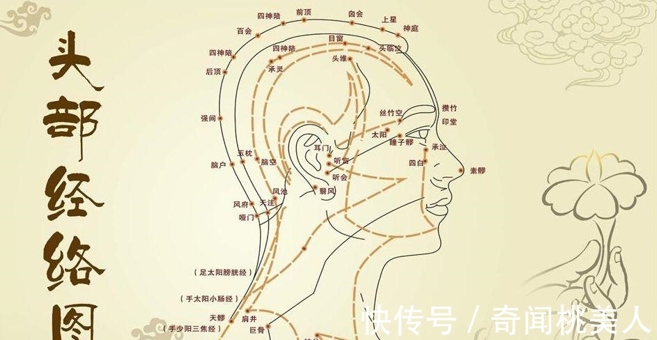 雷公|古人是如何发现经络的?