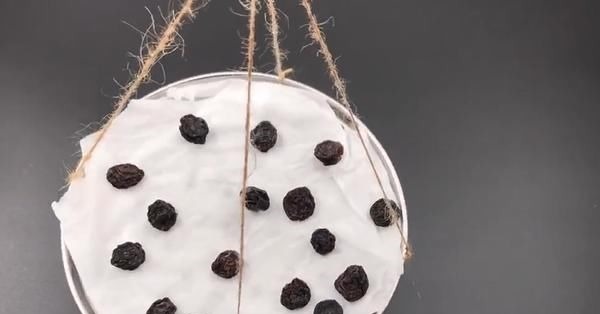 家里的旧蒸格可别扔了,简单改造下,用处可真大,家家户户都需要