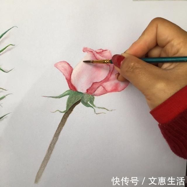 玫瑰花!手绘逼真的玫瑰花,只要四步就能学会,快来看看吧