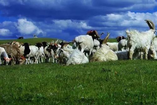 中国最美六大沼泽湿地,养在深闺无人识,去过的都惊叹不已