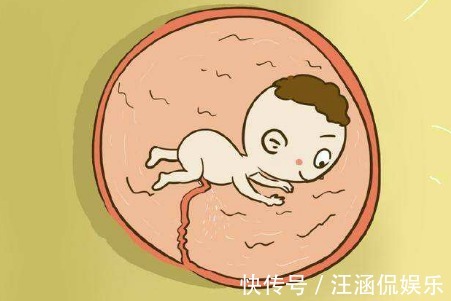 橙汁儿|子宫黑漆漆，胎儿会无聊吗这些“游戏”玩得可溜了