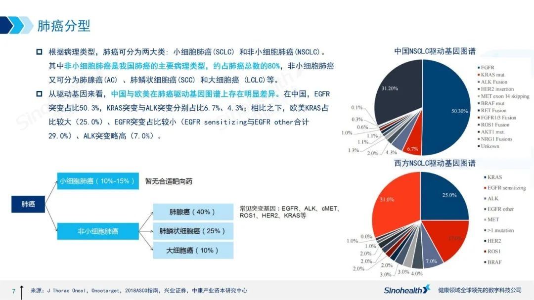 大癌种系列——肺癌治疗药物市场分析报告|中康医药行研 | 药物