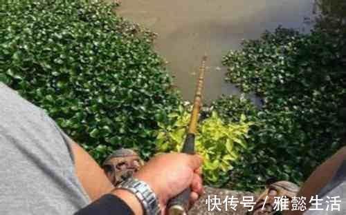 钓鱼技巧之“扎蛤蟆”钓法，爱钓鱼的你可以看看