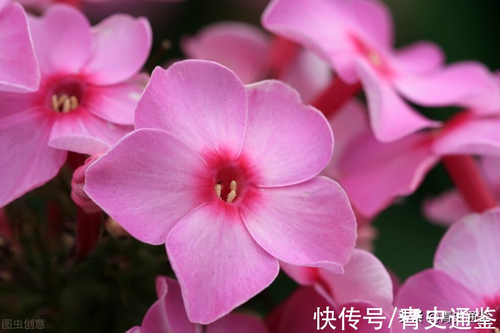 悲剧的诞生|尼采：生命中值得严肃对待的事，是这6种，千万要重视