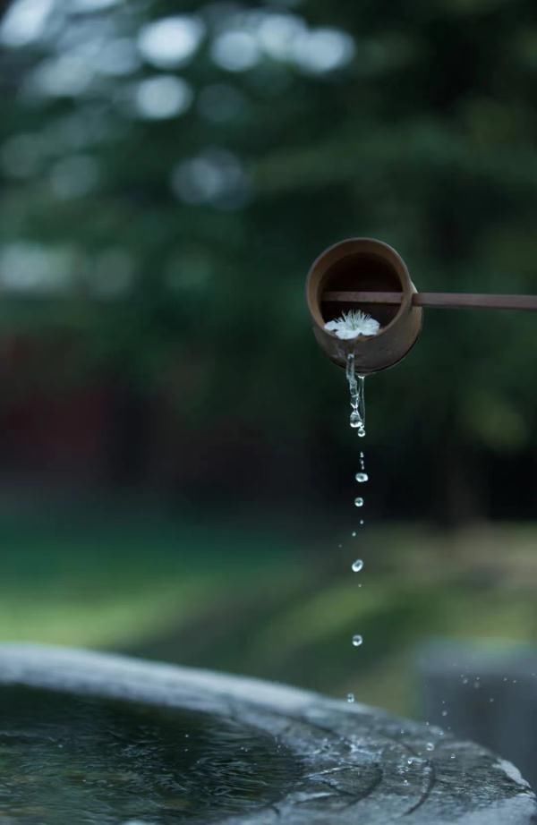 小米|雨水时节养生需重视护肝健脾