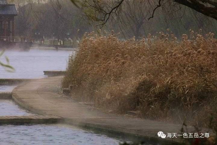 百脉泉|雪泉共舞，百脉氤氲：泉城第一场雪，百脉泉飞花穿庭，盛雪芳华