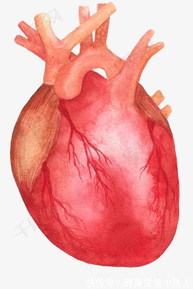 午睡|长寿之源,根在心脏!三伏天要养心,牢记“3多3少2不要”
