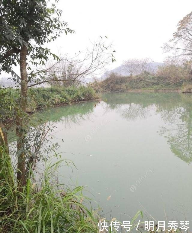 钓鲫鱼方法和窝料制作方法，自己研制的饵料，一般人我不告诉他