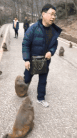 |搞笑GIF:放了我和我的孩子,今后我定会报答你