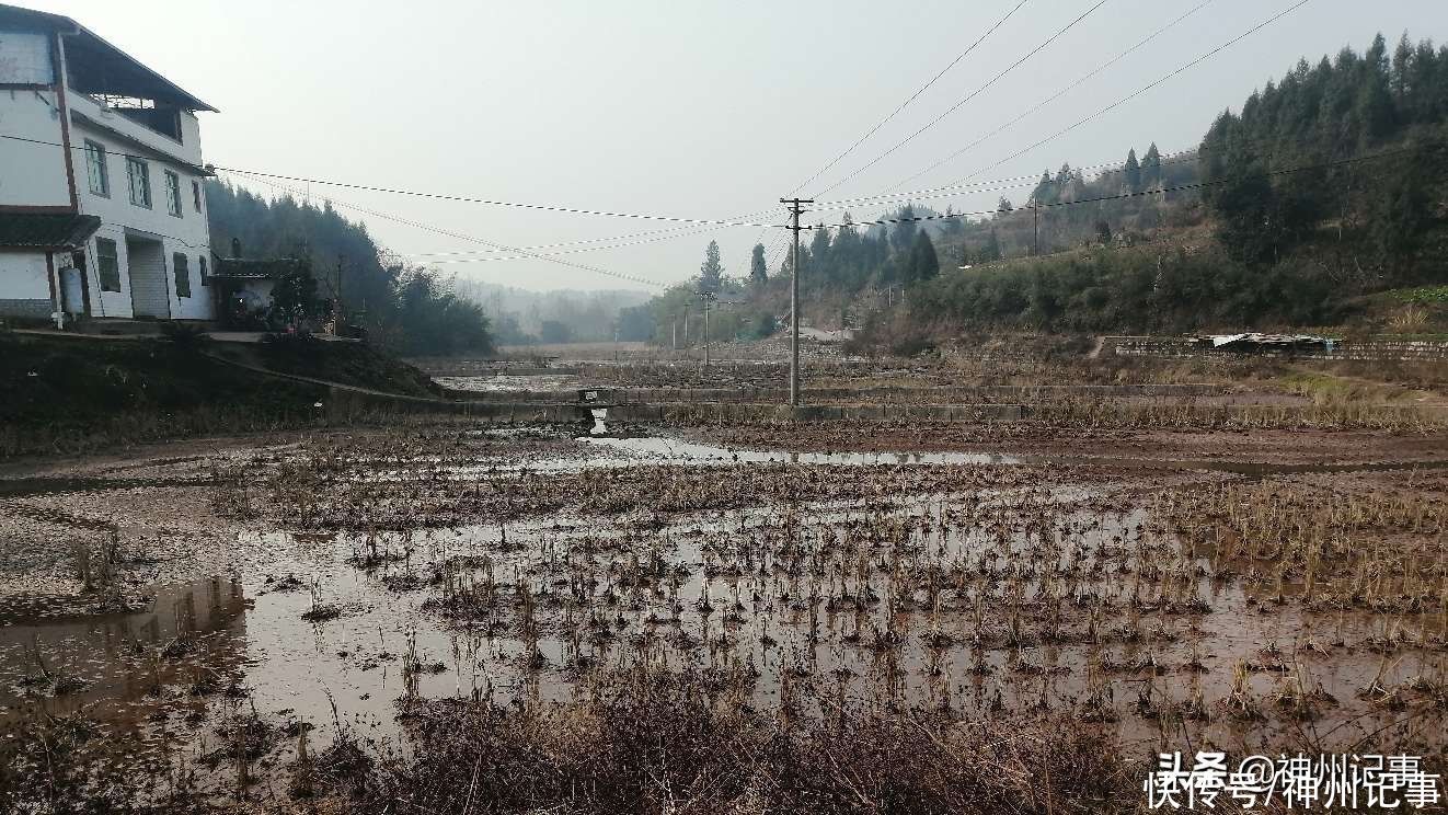 乡村冬闲田，一道靓丽的风景！