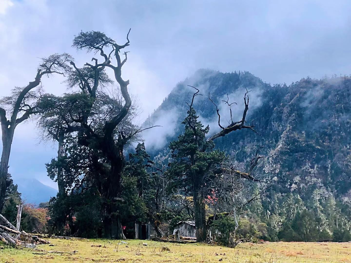 纳瓦拉|林芝试驾纳瓦拉，邂逅中国最美雪山——南迦巴瓦峰