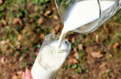 多巴胺|常喝牛奶可以养甲状腺?提醒:保护甲状腺,2物或可多吃