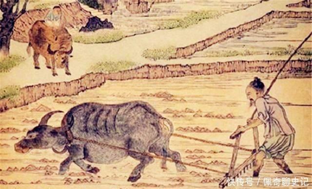 无福|俗话“有福之人两腿毛,无福之人毛两腿”啥逻辑?老祖宗太会看了