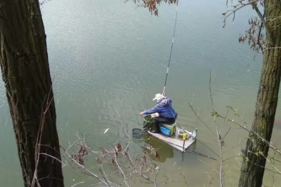 冬天太冷,大板鲫难道就不吃钩?果断尝试这3招,一竿一条上不停