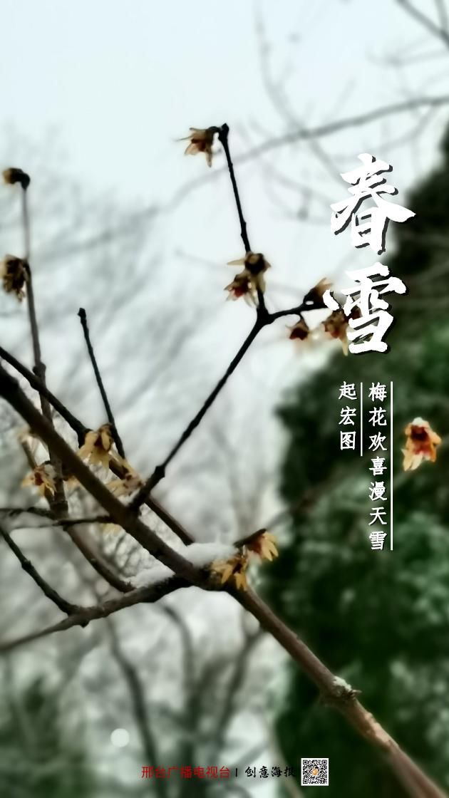 邢台春雪，如此多娇！