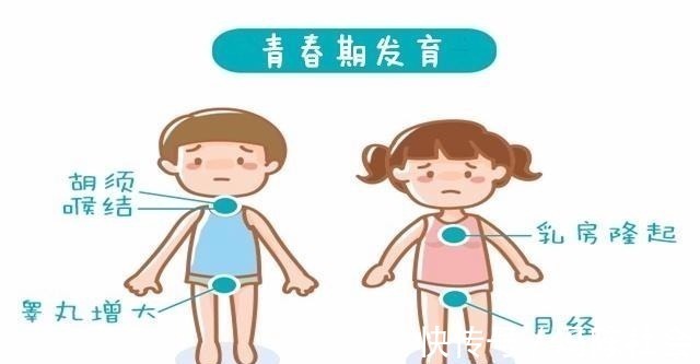 番茄豆腐羹|孩子身体如果有这三个迹象,很可能是要停止长高了,家长要留意!