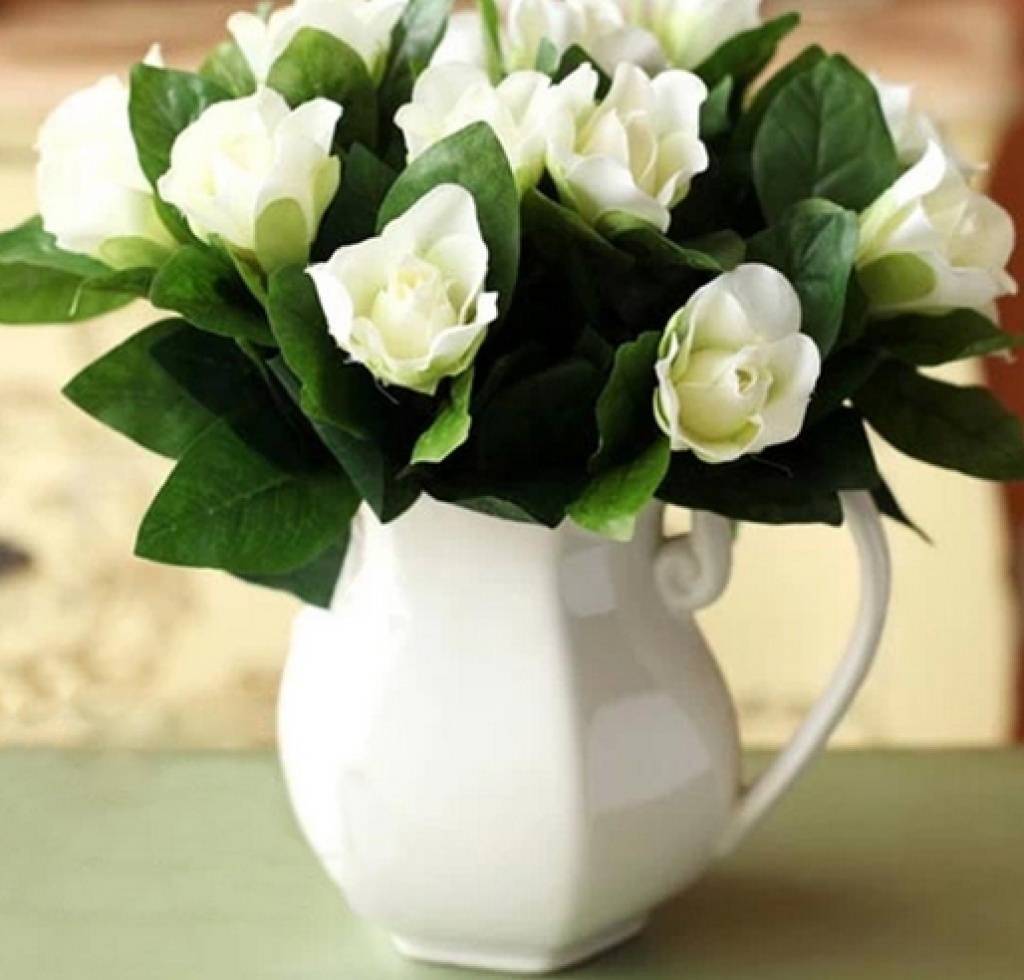 栀子栽培,浇水这种“水肥”叶绿,花更旺家中必备花卉品种