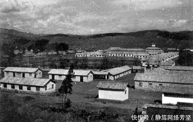 轻松|老师一不高兴就开骂,整个学期只讲半篇文章,学生却能轻松上哈佛