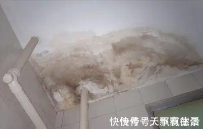 防水|装修时很多人在防水涂料里加这个,大错特错,别再犯了