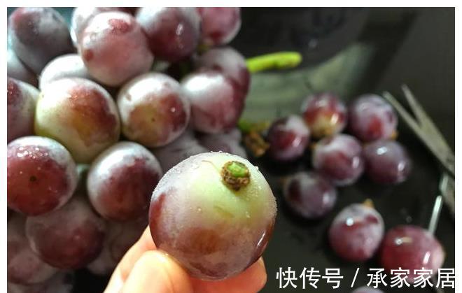 葡萄|清洗葡萄小妙招,学会正确方法,干净又卫生,葡萄皮都能一起吃