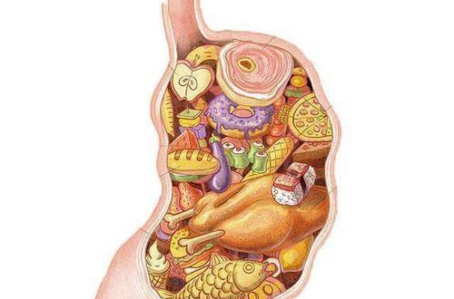  养生|养生以脾胃为先，脾胃最喜欢你吃什么？吃对了脾胃就不会总找麻烦