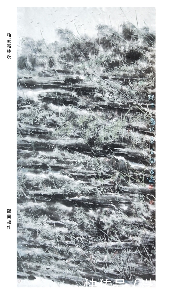 于无“路”处的探“路”人——浅议邵同福创立的湿地冰雪花鸟画