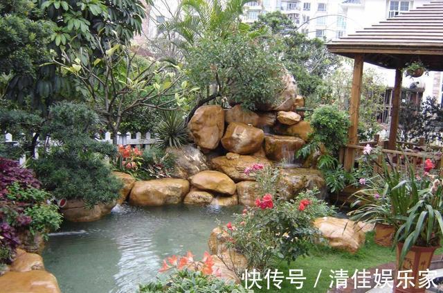 池塘|如果家里有个院子,就建个这样的鱼池吧,越住越富贵,真是太美了