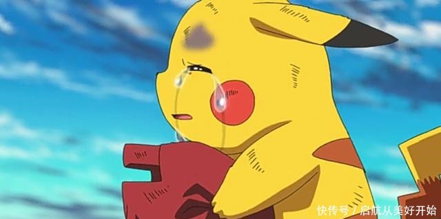 皮卡丘|盘点小智身边最有可能取代皮卡丘的三只精灵,甲贺忍蛙上榜