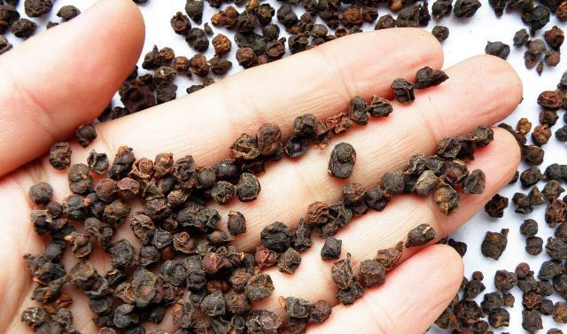 中药|阴阳双虚,免疫力低,送大家两味中药,一味滋阴,一味温阳