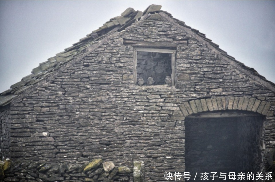 老年痴呆测试5秒能找到图中的猫头鹰,大脑还还