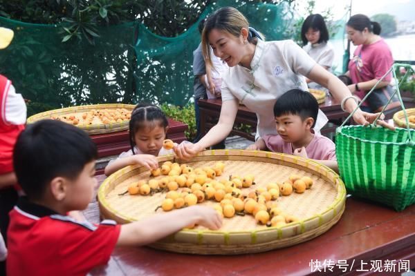 夏日|木瓜是定情之物，枇杷是乐器……夏日瓜果不只是“吃”那么简单